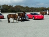 Schuylkill Valley Corvette Club